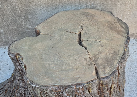 tronco arbol tocon ficticio 79x105-173x110-170 1u